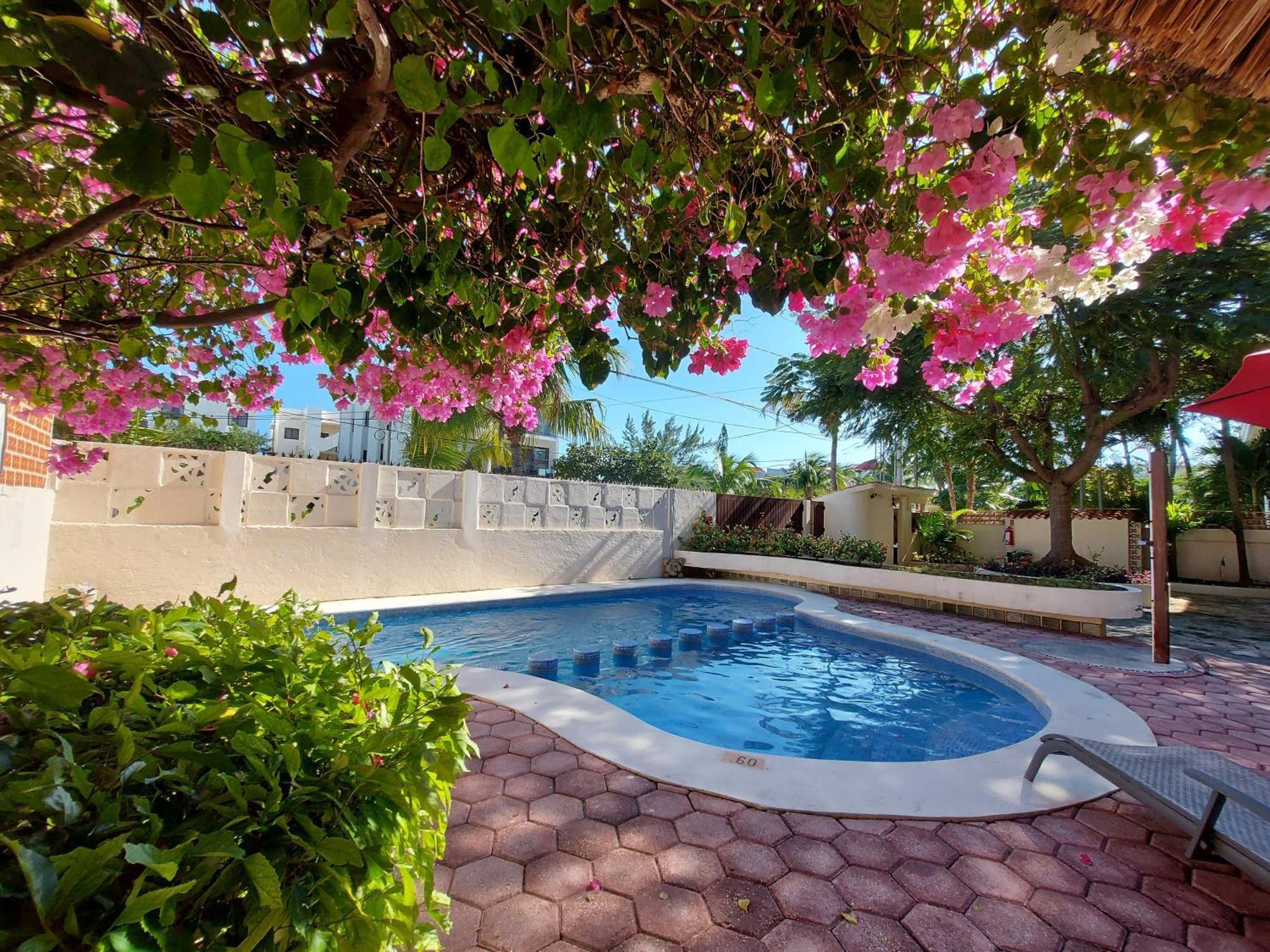 Cabanas Puerto Morelos Exterior photo